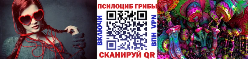 Купить где  Щёлкино  Галлюциногенные грибы MAGIC MUSHROOMS 